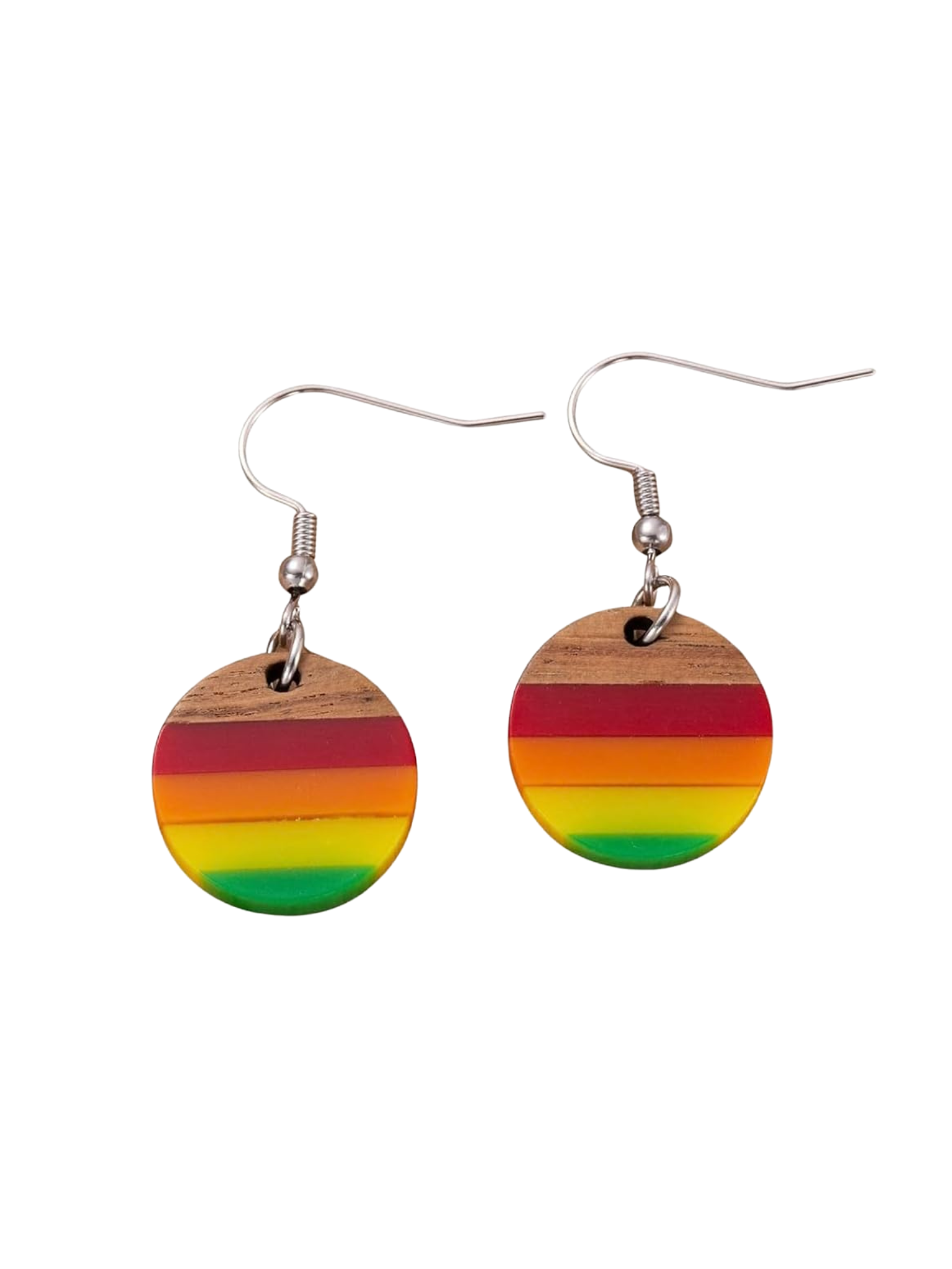 Grounded Rainbow Wood Earrings