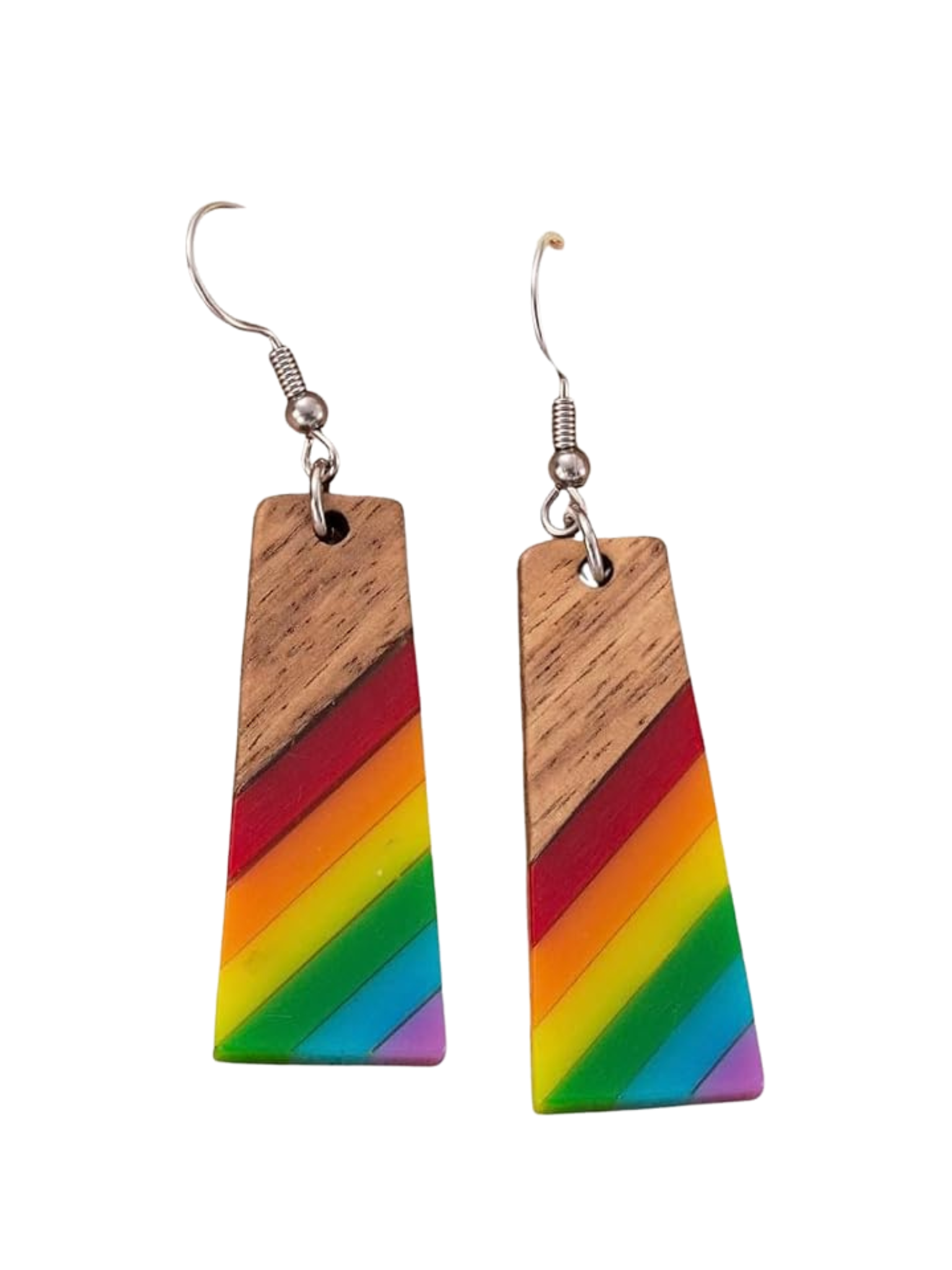 Horizon Rainbow Wood Earrings