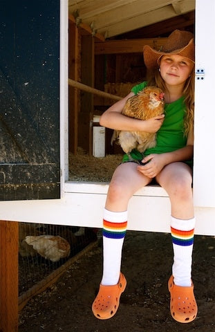 my chickens love when i hold them when wearing my pride socks
