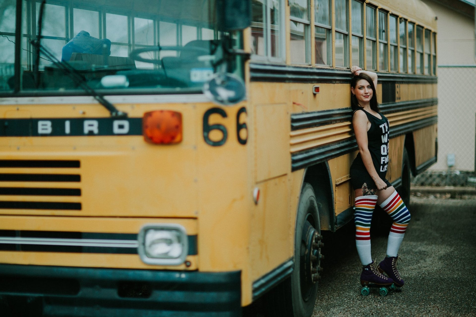 Freedom - Thigh High Tube Socks by Pride Socks
